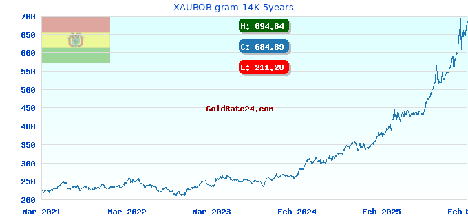 XAUBOB gram 14K 5years