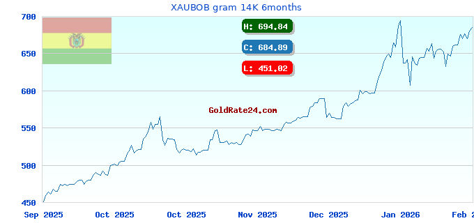 XAUBOB gram 14K 6months