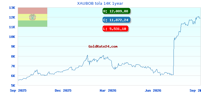 XAUBOB tola 14K 1year