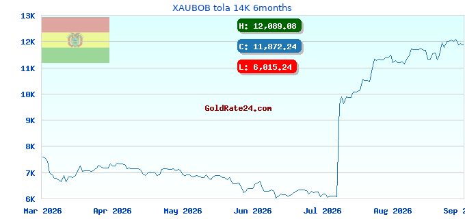 XAUBOB tola 14K 6months