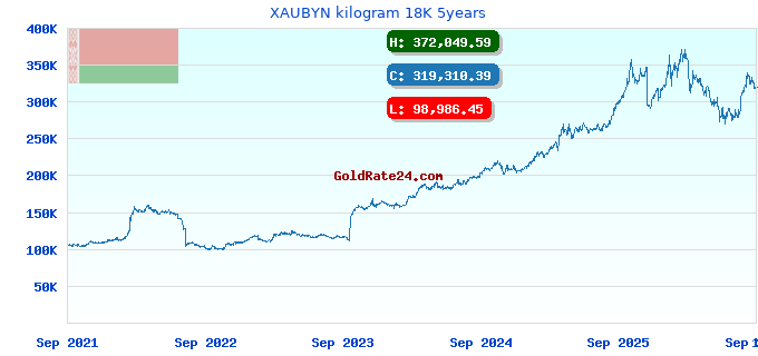 XAUBYN kilogram 18K 5years
