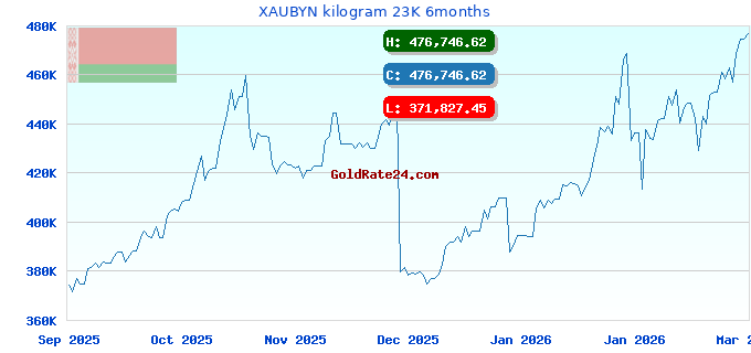 XAUBYN kilogram 23K 6months