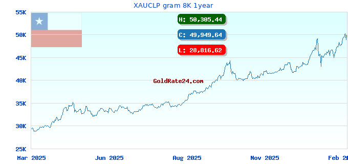 XAUCLP gram 8K 1year