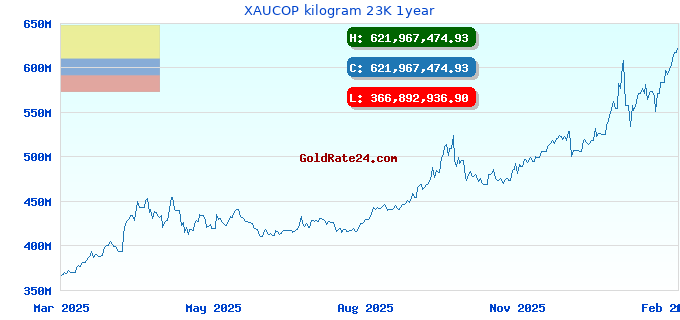 XAUCOP kilogram 23K 1year