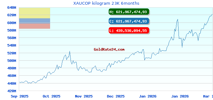 XAUCOP kilogram 23K 6months