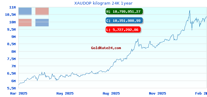 XAUDOP kilogram 24K 1year