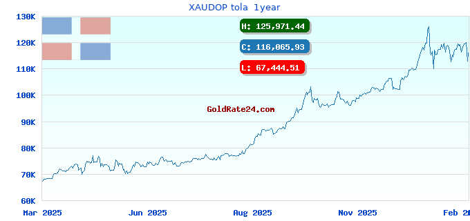 XAUDOP tola  1year