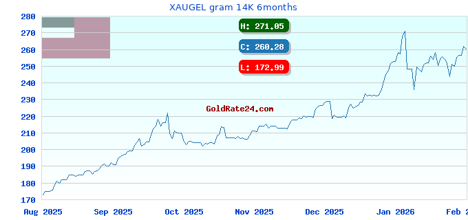 XAUGEL gram 14K 6months