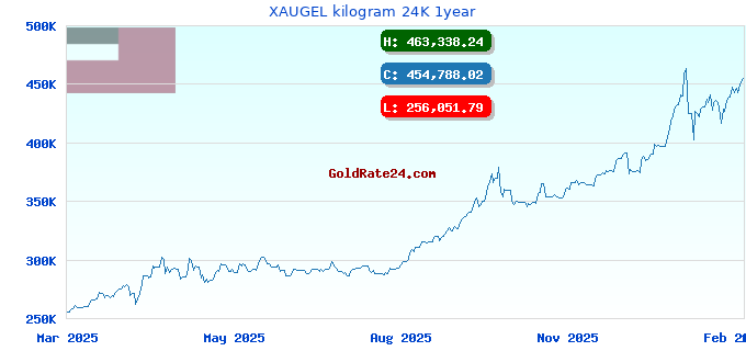 XAUGEL kilogram 24K 1year