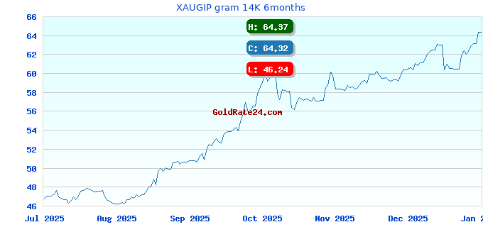 XAUGIP gram 14K 6months