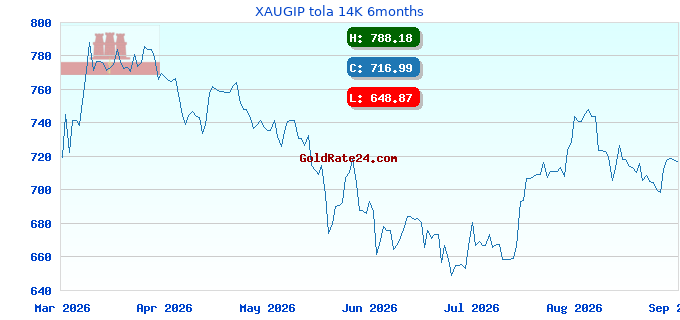 XAUGIP tola 14K 6months
