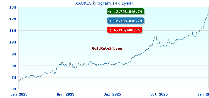 XAUKES kilogram 14K 1year