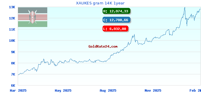 XAUKES gram 14K 1year