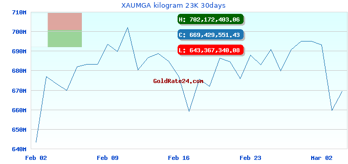 XAUMGA kilogram 23K 30days
