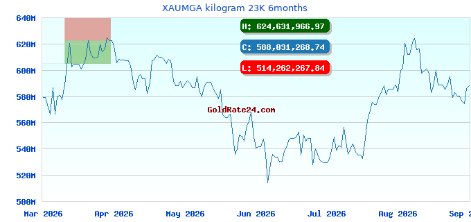 XAUMGA kilogram 23K 6months