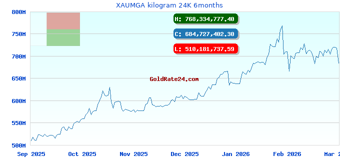 XAUMGA kilogram 24K 6months