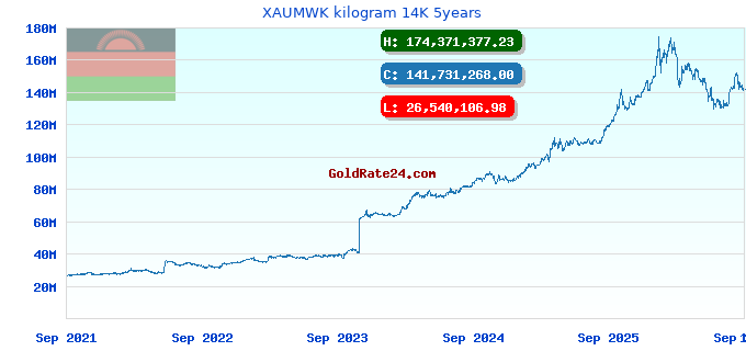 XAUMWK kilogram 14K 5years