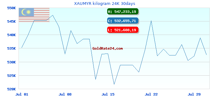 XAUMYR kilogram 24K 30days
