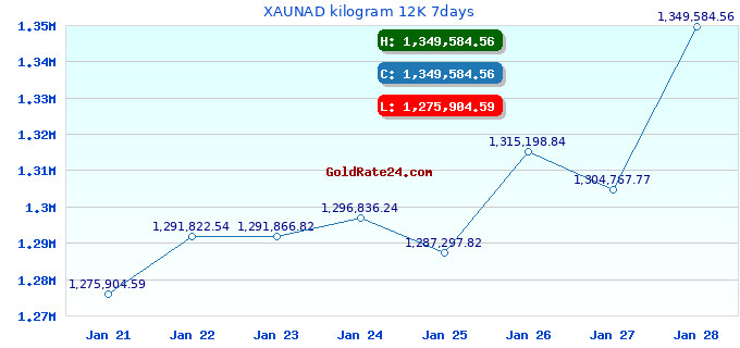 XAUNAD kilogram 12K 7days
