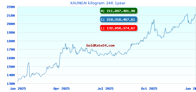 XAUNGN kilogram 24K 1year