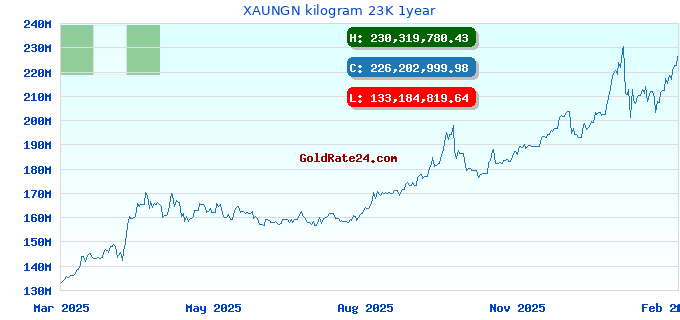 XAUNGN kilogram 23K 1year