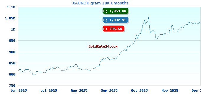 XAUNOK gram 18K 6months