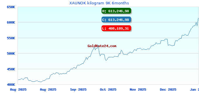 XAUNOK kilogram 9K 6months