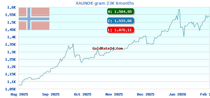 XAUNOK gram 23K 6months