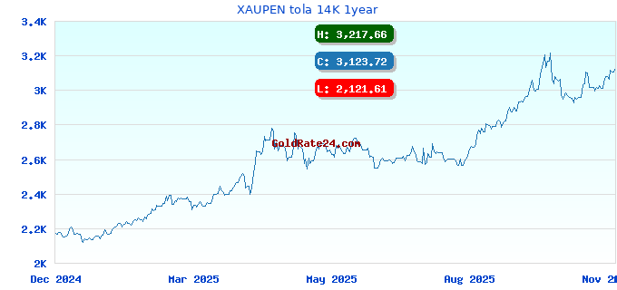 XAUPEN tola 14K 1year