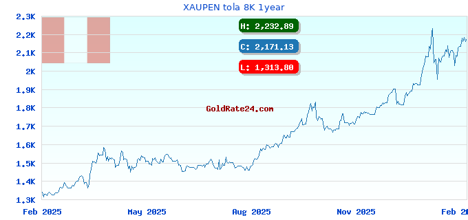 XAUPEN tola 8K 1year