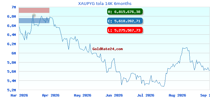 XAUPYG tola 14K 6months
