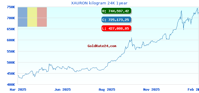XAURON kilogram 24K 1year