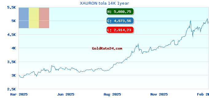 XAURON tola 14K 1year