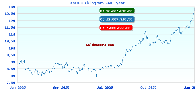 XAURUB kilogram 24K 1year