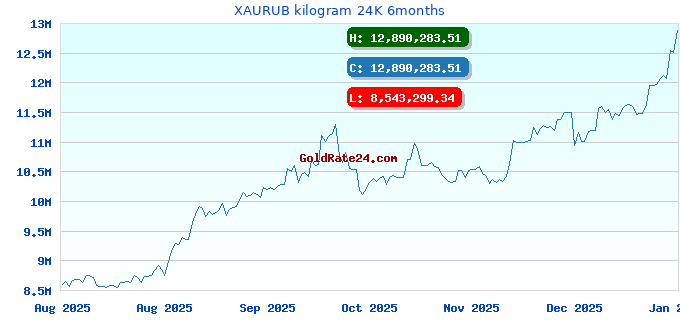 XAURUB kilogram 24K 6months