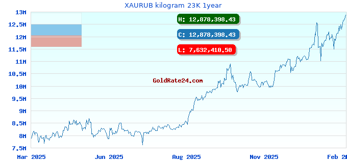 XAURUB kilogram 23K 1year
