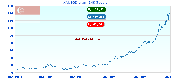 XAUSGD gram 14K 5years