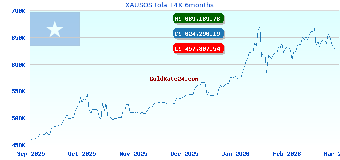 XAUSOS tola 14K 6months
