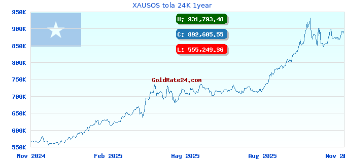 XAUSOS tola 24K 1year