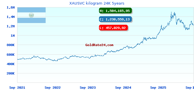 XAUSVC kilogram 24K 5years