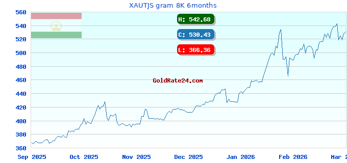 XAUTJS gram 8K 6months