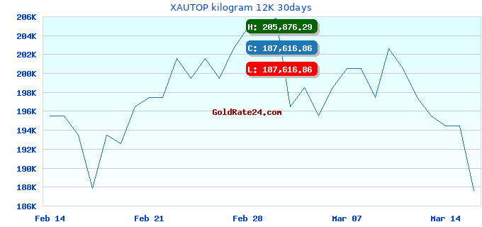 XAUTOP kilogram 12K 30days