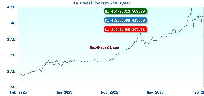 XAUVND kilogram 24K 1year