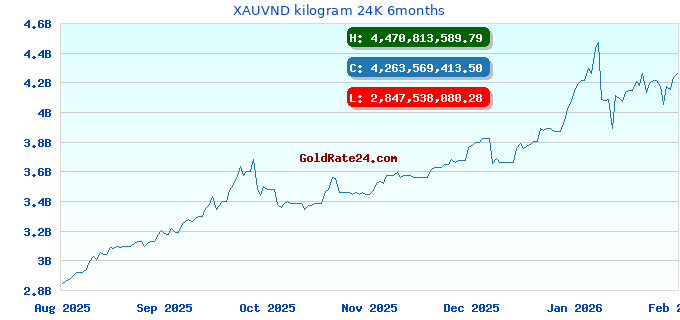 XAUVND kilogram 24K 6months