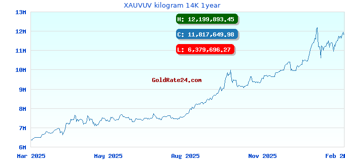 XAUVUV kilogram 14K 1year