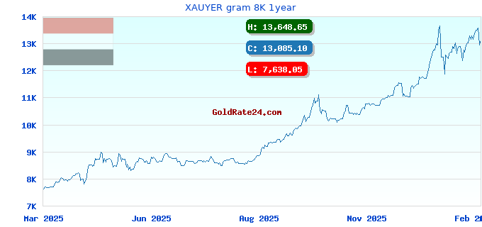 XAUYER gram 8K 1year