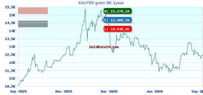 XAUYER gram 9K 1year