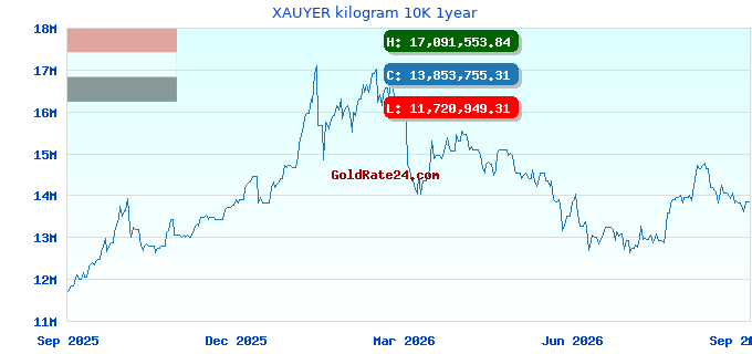 XAUYER kilogram 10K 1year