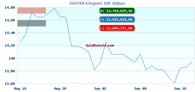XAUYER kilogram 10K 30days