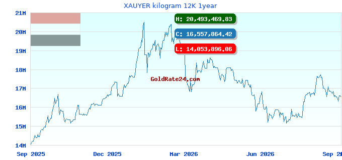 XAUYER kilogram 12K 1year